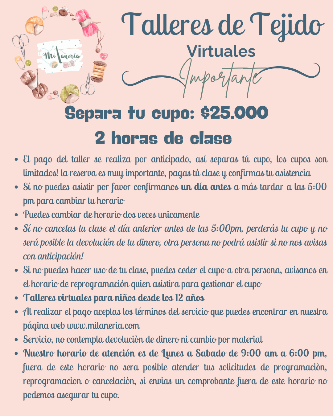 Taller Virtual de Tejido 2025