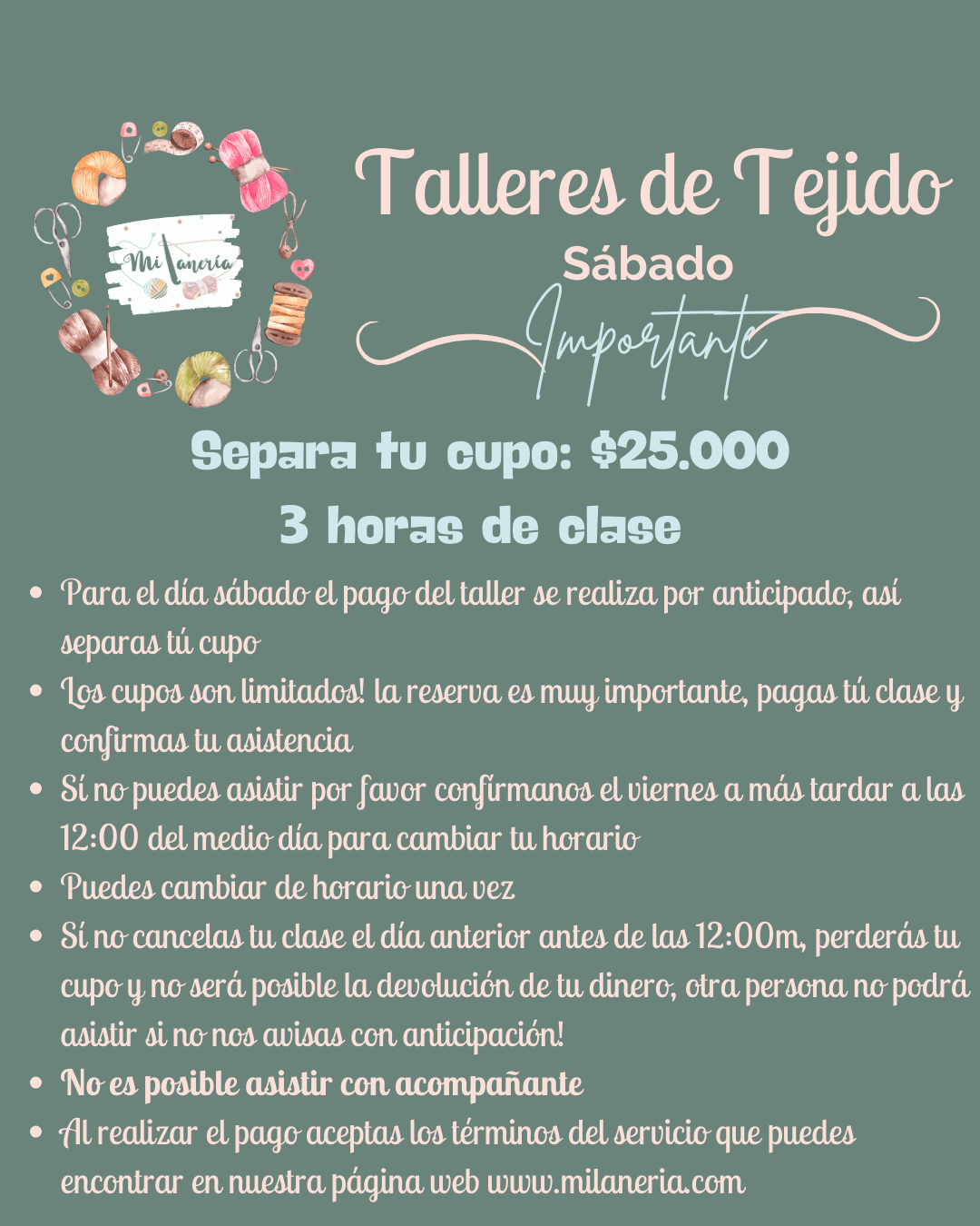 Taller de Tejido 2025